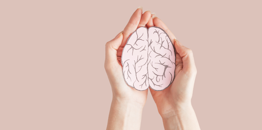 Mentale Gesundheit bildlich dargestellt. Ein ausgeschnittenes Bild eines Gehirns wird von zwei Frauenhänden gehalten.